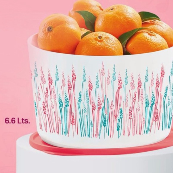 Tupperware Canister Wheat 6.6 Liter - Picture 2 of 16